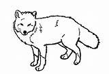 Fox Coloring Pages Kids Print Printable sketch template