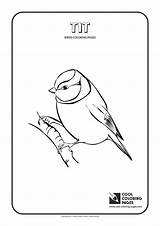 Coloring Pages Tit Birds Cool sketch template