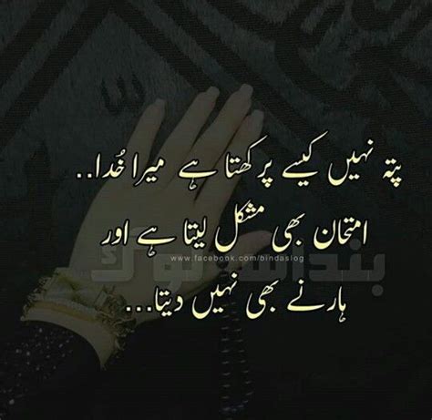 pin by hunny hunny on əxtra sufi quotes islamic