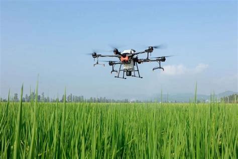 coromandel international conducts fertiliser  pesticides spraying trials  drones atom