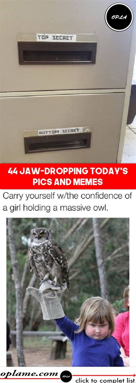 44 Jaw Dropping Today’s Pics And Memes Funny Pictures