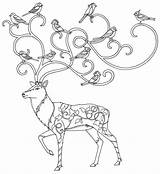 Coloring Pages Book Enchanted Forest Basford Adults Books Mural Printable Drawing Garden Secret Johanna Deer Sheets Iverson Allen Christmas Examples sketch template