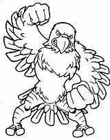 Hawk sketch template
