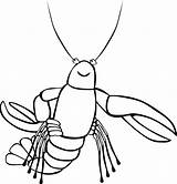 Crawfish Popular sketch template