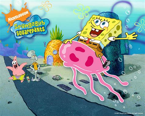spongebob pp spongebob squarepants wallpaper  fanpop