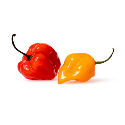 habaneros  scotch bonnets whats  difference cooks country