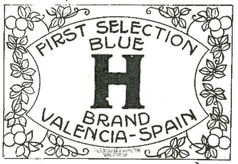 blue brand valencia