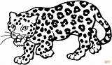 Coloring Leopard Pages Snow Color Printable Drawing sketch template