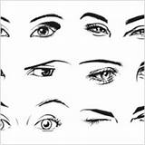Template Brow Eye Eyes Vector sketch template