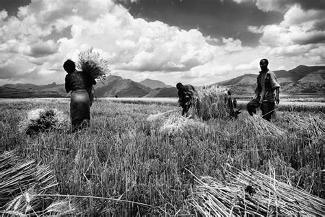 Life In Rural Northern Ethiopia Captured In Stunning Images Mereja Forum