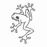 Frog Coloring Pages Little Delightful Momjunction Looking Ones Colouring Animals Templates sketch template