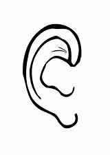 Ears Listening Template Ear Coloring Clipart Library sketch template