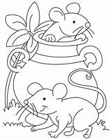 Ratinho Colorir Mice Ratinhos Desenhos Malvorlagen Riscos Malvorlage Ausmalbilder Rats Maus Eule Graciosos Poplembrancinhas sketch template