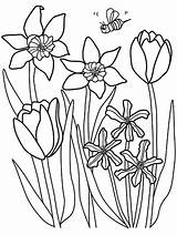 Coloring Spring Pages Printable Flowers Color Kids Flower Tulips Sheets Print Parents Daffodils Adult Outside Kid Easter Frühling Blumen Printables sketch template