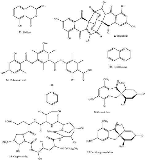 structure  metabolites     scientific diagram