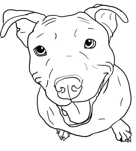 pitbull puppy coloring pages  getcoloringscom  printable