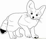 Fox Coloring Fennec Pages Cute Baby Animals Color Designlooter Coloringpages101 Printable Getdrawings Foxes Getcolorings Kids Online Drawings sketch template
