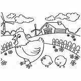 Coloring Pages Hen Chicks Chicken Pag Cute Color Girl sketch template