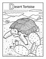 Desert Coloring Pages Tortoise Animals Plants Drawing Ecosystem Canyon Grand Habitat Sulcata Kids Colouring Printable Color Oasis Landscape Print Tortoises sketch template