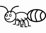 Formiga Hormigas Invertebrados Vertebrados Colorear Hormiga Ant Infantiles Imagui Ants Proyecto Hace sketch template