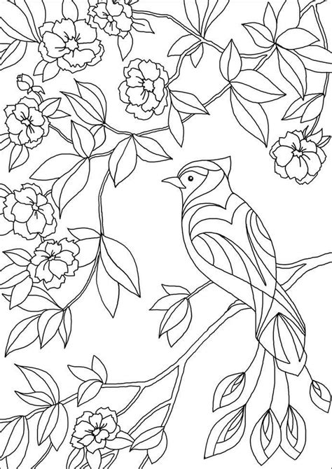 coloring book  adults relaxation  popular svg design
