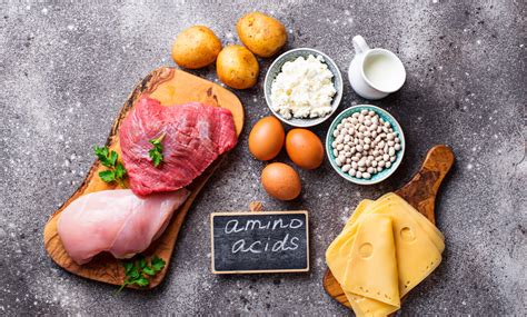amino acid rich foods   healthy  healthifyme