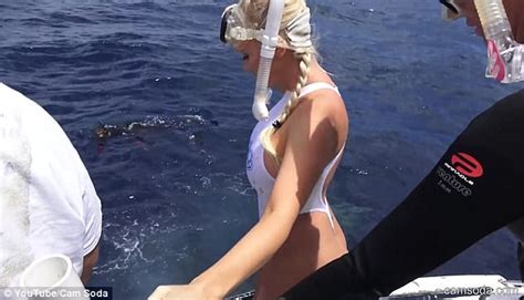 porn star molly cavalli cries out as a 10ft shark bites daily mail online