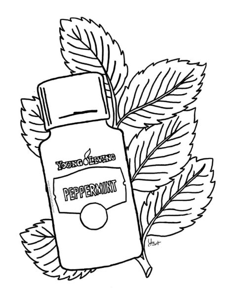 peppermint coloring page  getdrawings