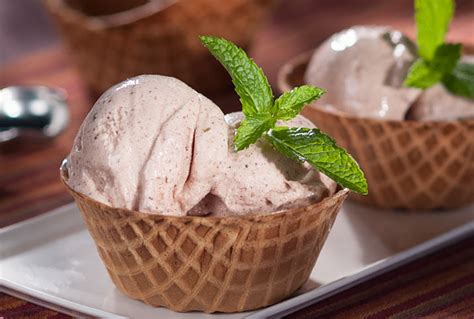 Mexican Chocolate Ice Cream Vandv Supremo® Food Service