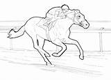 Secretariat Breyer Getdrawings Ninth Racehorse Thoroughbred Horses Getcolorings sketch template