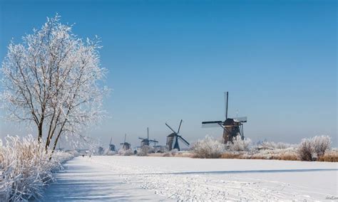 snow   netherlands   weekend kinderdijk netherlands holland windmills