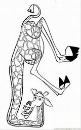 Madagascar Melman Coloring Pages Giraffe Printable Gloria Alex Cartoons Drawing Marty Comments Categories Silhouettes Hippopotamus sketch template