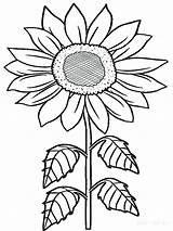 Sunflowers Sonnenblume Zum Malvorlage Clipartmag Gogh Ausmalbild sketch template