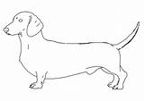 Coloring Dachshund Pages Printable Realistic Dog Template Color Popular Templates Coloringhome sketch template