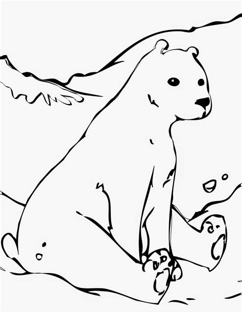 coloring pages bear  printable coloring pages  clip art