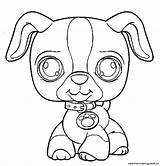 Coloring Pages Pet Lps Littlest Shop Dachshund Printable Dog Print Collie Puppy Cat Color Bunny Getcolorings Pets Getdrawings Coloriage Homey sketch template