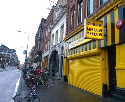 Amsterdam Coffee Shops Closing Has Negative Effects Amsterdam Red
