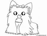 Coloring Pages Yorkshire Terrier Yorkie Printable Kids Adults sketch template
