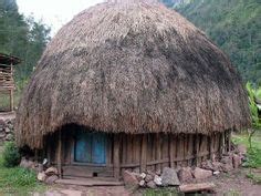 rumah honai rumah adat suku asmat papua indonesia dwellings indonesia zulu arsitektur