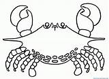Horseshoe Crab sketch template