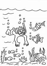 Taucher Ausmalen Sommer Ausdrucken Ausmalbild Malvorlage Kostenlos Malvorlagen Fische Kleine Taucherin sketch template