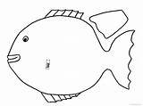 Fish Outline Tropical Coloring Clipart Templates Clipartbest Cliparts sketch template