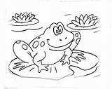Frog Coloring Para Colorear Color Lily Frogs Ranitas Dibujos Pages Ranas Bmp Pc Book Imprimir Choose Board Funstuff sketch template
