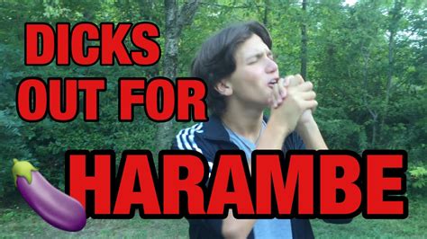 dicks out for harambe song youtube