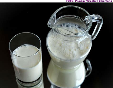 innaldo sardinha  mundial  leite razoes de     consumir