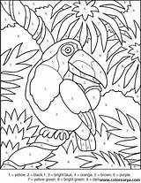 Coloring Toucan Numeros Colorear Crayola Atividades Ausmalen Coloringhome Mosaicos Zahlen Lifelike Naaman Adultos Primaria Mandalas Mandala Mosaico Números Helloween Tukan sketch template