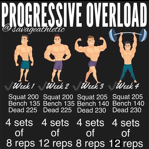 minute progressive overload workout routine  push  abs