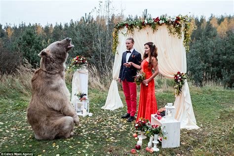 russian couple invite grizzly bear to be a part of their wedding