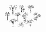 Palm Vector Drawn Hand Leaves Vecteezy Tree Edit sketch template