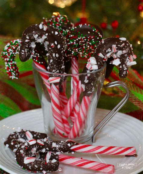 Chocolate Dipped Candy Canes Giggles Gobbles And Gulps